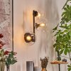 Gastor Lampada a sfera, Applique Chiaro, 3-Luci