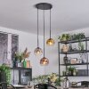 Ripoll Lampadario a sospensione, Lampada a sfera, Lampada a sospensione a cluster Cromo, Oro, Chiaro, Ramato, Grigio fumo, 3-Luci