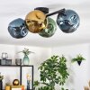 Ripoll Plafoniera, Lampada a sfera Blu, Oro, Verde, 4-Luci