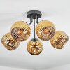 Ripoll Plafoniera, Lampada a sfera Oro, 5-Luci