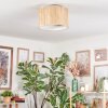 Bongal Plafoniera beige, Écru, 1-Luce