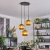 Koyoto Lampadario a sospensione, Lampada a sfera, Lampada a sospensione a cluster 30 cm Oro, 3-Luci Koyoto Lampadario a sospensione, Lampada a sfera, Lampada a sospensione a cluster 30 cm Oro, 3-Luci