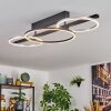 Jenar Plafoniera LED Nero, 1-Luce