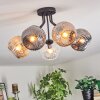 Ripoll Plafoniera, Lampada a sfera Ambrato, Chiaro, Grigio fumo, 5-Luci