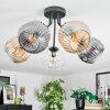 Ripoll Plafoniera, Lampada a sfera Ambrato, Chiaro, Grigio fumo, 5-Luci