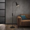Terwispel Lampada da terra Antracite, 1-Luce