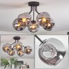 Ripoll Plafoniera, Lampada a sfera Grigio fumo, 5-Luci