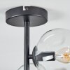 Ripoll Plafoniera, Lampada a sfera Chiaro, 4-Luci