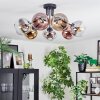 Koyoto Plafoniera, Lampada a sfera 82 cm Cromo, Oro, Chiaro, Ramato, Grigio fumo, 7-Luci