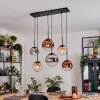 Gastor Lampadario a sospensione, Lampada a sfera, Lampada a sospensione Ambrato, Cromo, Chiaro, Ramato, Grigio fumo, 6-Luci