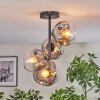 Ripoll Plafoniera, Lampada a sfera Chiaro, Grigio fumo, 4-Luci