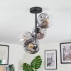 Ripoll Plafoniera, Lampada a sfera Chiaro, Grigio fumo, 4-Luci