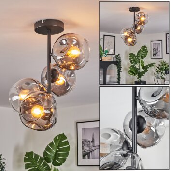 Ripoll Plafoniera, Lampada a sfera Chiaro, Grigio fumo, 4-Luci Ripoll Plafoniera, Lampada a sfera Chiaro, Grigio fumo, 4-Luci