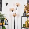 Koyoto Lampada a sfera, Lampada da terra Ambrato, 3-Luci