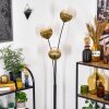 Koyoto Lampada a sfera, Lampada da terra Oro, Chiaro, 3-Luci