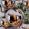 Gastor Lampadario a sospensione, Lampada a sfera, Lampada a sospensione Cromo, Grigio fumo, 6-Luci