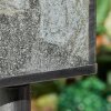 Tieva Illuminazione viale Nero, Argento, 1-Luce