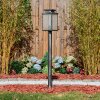 Tieva Illuminazione viale Nero, Argento, 1-Luce
