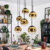 Gastor Lampadario a sospensione, Lampada a sfera, Lampada a sospensione Oro, Chiaro, 6-Luci