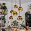 Gastor Lampadario a sospensione, Lampada a sfera, Lampada a sospensione Oro, Chiaro, 6-Luci
