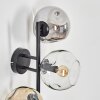 Gastor Lampada a sfera, Applique Ambrato, Chiaro, Grigio fumo, 3-Luci