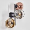 Koyoto Lampada a sfera, Applique Cromo, Oro, Chiaro, Ramato, Grigio fumo, 3-Luci