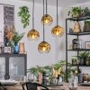 Ripoll Lampadario a sospensione, Lampada a sfera, Lampada a sospensione a cluster Oro, Chiaro, 4-Luci