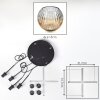 Ripoll Lampadario a sospensione, Lampada a sfera, Lampada a sospensione a cluster Ambrato, Chiaro, 4-Luci