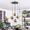 Ripoll Lampadario a sospensione, Lampada a sfera, Lampada a sospensione a cluster Oro, 4-Luci