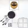 Ripoll Lampadario a sospensione, Lampada a sfera, Lampada a sospensione a cluster Oro, 4-Luci