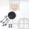 Koyoto Lampadario a sospensione, Lampada a sfera, Lampada a sospensione a cluster Ambrato, Chiaro, 4-Luci