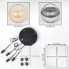 Koyoto Lampadario a sospensione, Lampada a sfera, Lampada a sospensione a cluster Ambrato, Chiaro, Grigio fumo, 4-Luci