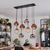 Gastor Lampadario a sospensione, Lampada a sfera, Lampada a sospensione Ambrato, Cromo, Chiaro, Ramato, Grigio fumo, 8-Luci