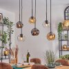 Ripoll Lampadario a sospensione, Lampada a sfera, Lampada a sospensione Ambrato, Chiaro, Grigio fumo, 6-Luci