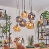 Ripoll Lampadario a sospensione, Lampada a sfera, Lampada a sospensione Ambrato, Grigio fumo, 6-Luci