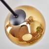 Koyoto Plafoniera, Lampada a sfera 72 cm Cromo, Oro, Chiaro, Ramato, Grigio fumo, 6-Luci