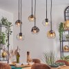 Ripoll Lampadario a sospensione, Lampada a sfera, Lampada a sospensione Ambrato, Chiaro, Grigio fumo, 6-Luci