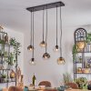 Ripoll Lampadario a sospensione, Lampada a sfera, Lampada a sospensione Ambrato, Chiaro, Grigio fumo, 6-Luci