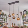 Ripoll Lampadario a sospensione, Lampada a sfera, Lampada a sospensione Ambrato, Chiaro, Grigio fumo, 6-Luci