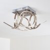 Felin Plafoniera LED Nichel opaco, 1-Luce