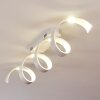 Rezat Plafoniera LED Bianco, 1-Luce
