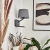Schonenwerd Applique Grigio, 1-Luce