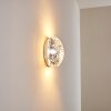 Concha Applique Bianco, 1-Luce