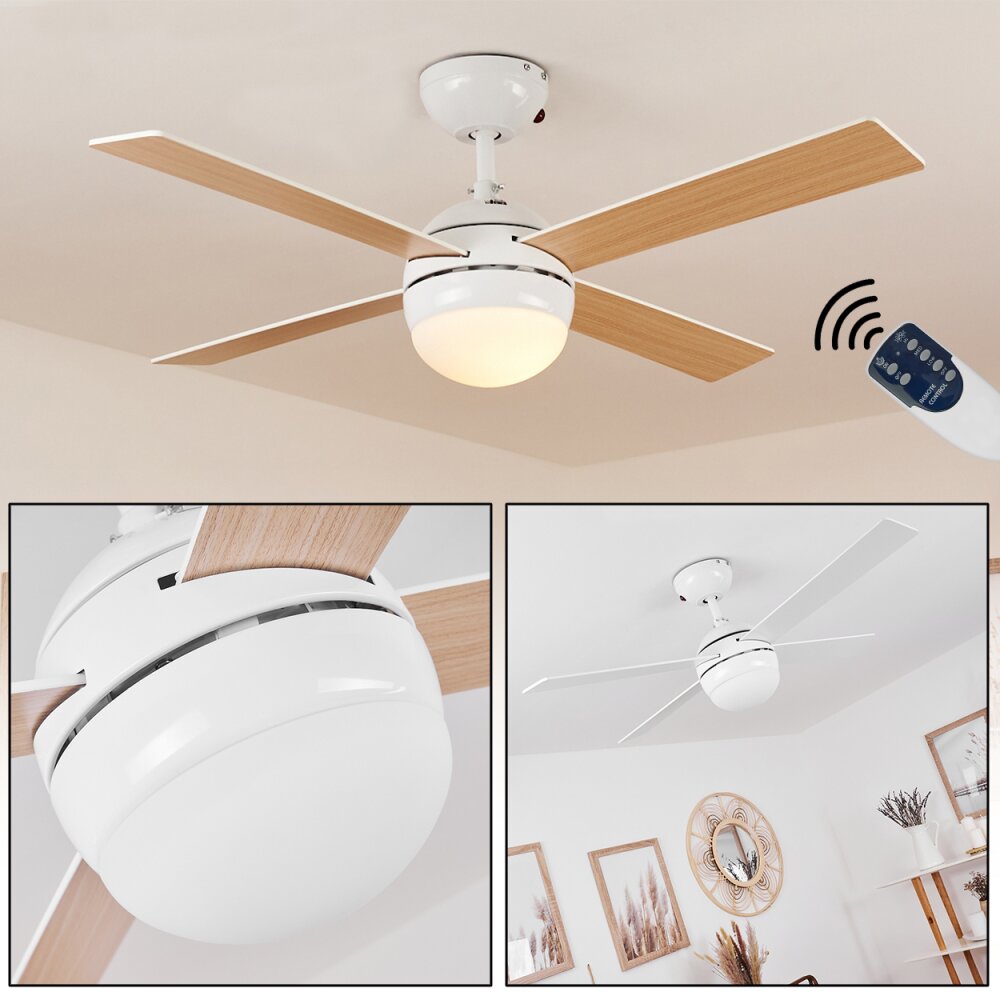 Hausvik ventilatore da soffitto Marrone, Bianco, 1-Luce, Telecomando main product photo