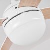 Hausvik ventilatore da soffitto Marrone, Bianco, 1-Luce, Telecomando