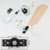 Hausvik ventilatore da soffitto Marrone, Bianco, 1-Luce, Telecomando