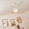 Hausvik ventilatore da soffitto Marrone, Bianco, 1-Luce, Telecomando
