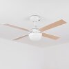 Hausvik ventilatore da soffitto Marrone, Bianco, 1-Luce, Telecomando