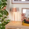 Salgadinho Lampada da tavolo per esterno, Lampada da tavolo LED Bianco, 1-Luce