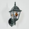 Naofe Lampada da parete per esterno, Applique Verde, Nero, 1-Luce